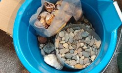 Photo 2 of Aquascaping Materials