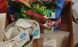 Planted Tank Essentials