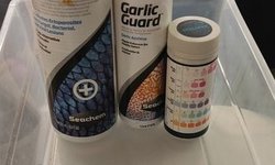Quarantine Essentials