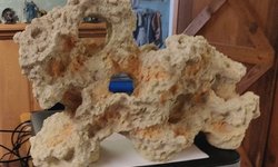 Large Tank decoration, “coral”
