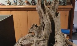 Large Tank decoration, “tree root”