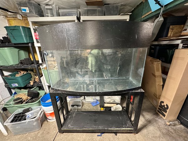 72 Gallon Bow Front Aquarium with Stand