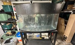 Photo 2 of 72 Gallon Bow Front Aquarium with Stand