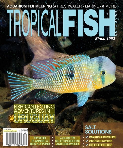 Tropical Fish Hobbyist Magazine Jul/Aug