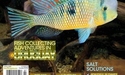 Tropical Fish Hobbyist Magazine Jul/Aug