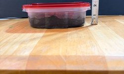 Photo 3 of 1 x White Worm STARTER Culture A