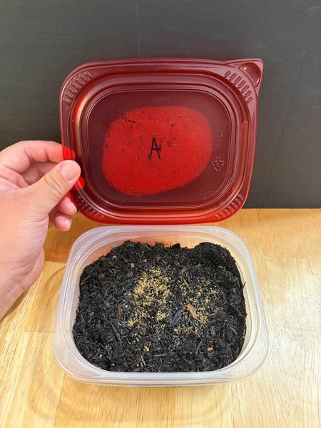 The stuff on top is grounded cat food